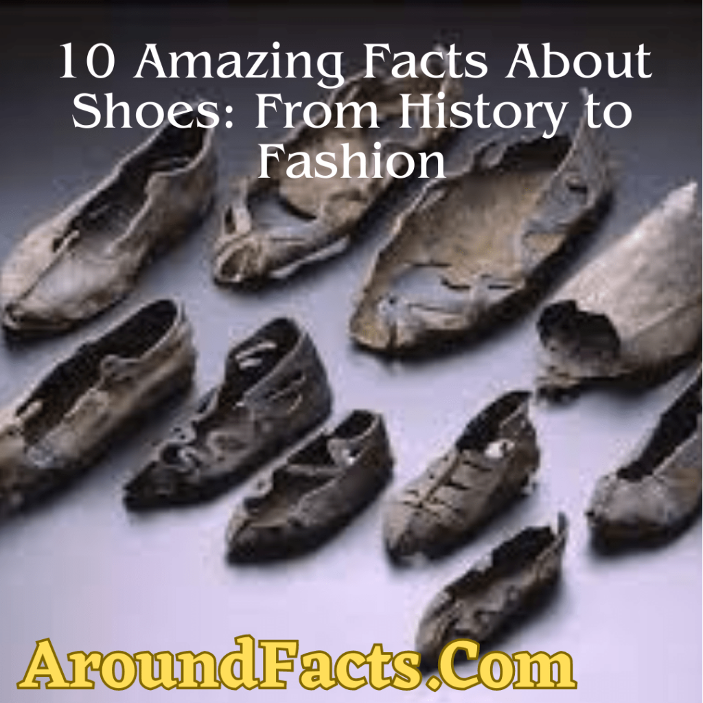 Facts About Shoes