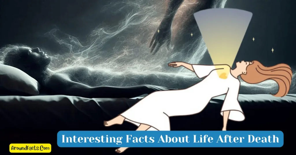 Amazing & Unbelievable Facts About Life After Death,Facts About Life After Death, Scientific Facts About Life After Death, Interesting Facts About Life After Death, 5/10 Facts About Life After Death, True Facts About Life After Death